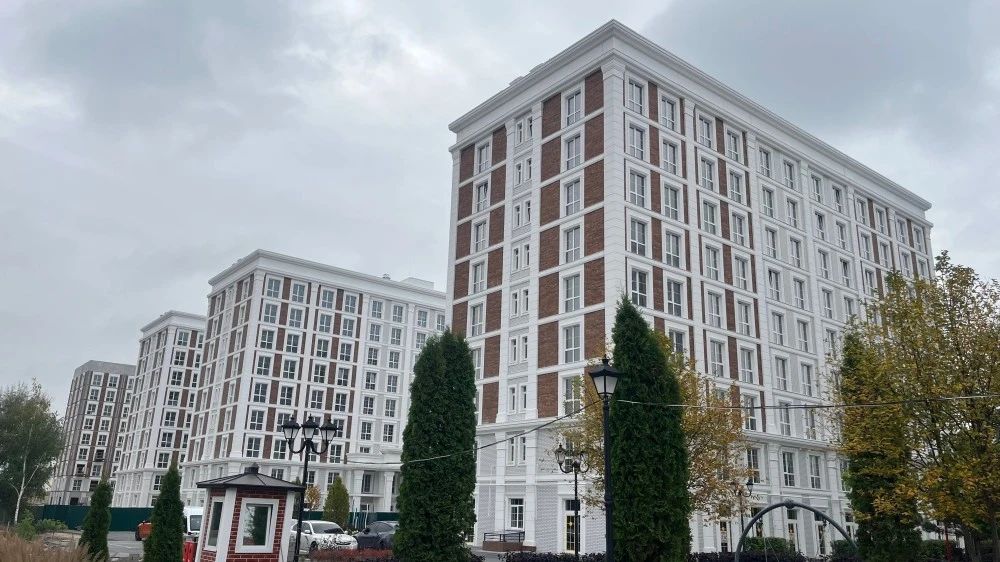 жк оксфорд, чайки